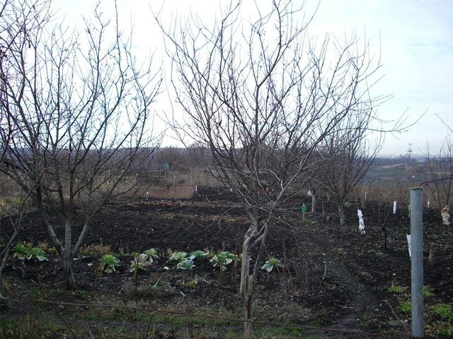 Вид на север / View North from the confluence point