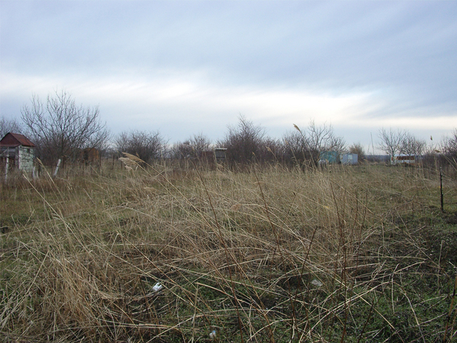 Вид на юг / View South from the confluence point