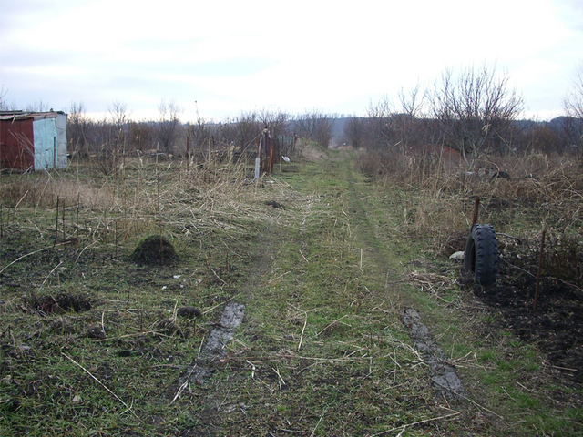 Вид на запад / View West from the confluence point