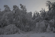 #12: Украшение ледяного дождя / Ice rain decoration