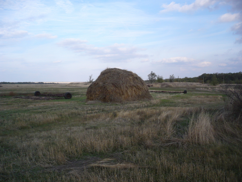 View to the east