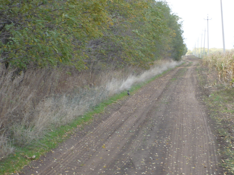 The road to the confluence