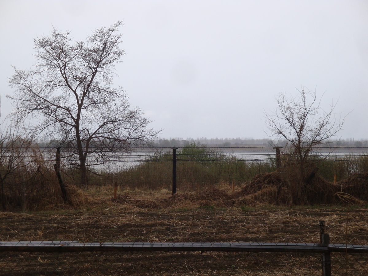 Река Амур / Amur river