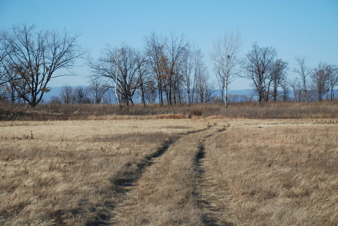 Road to the point