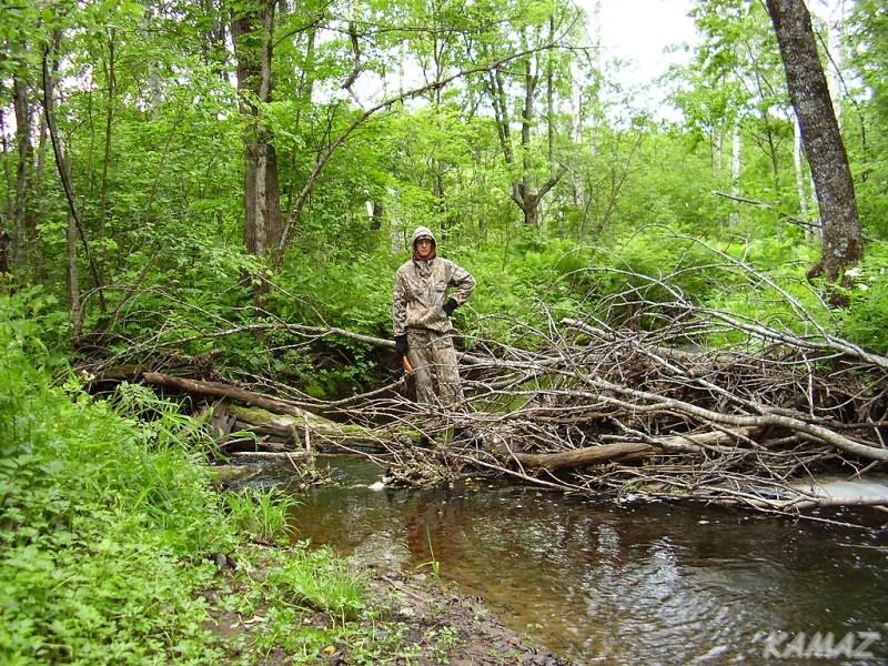 Kuznechikha river/Река Кузнечиха