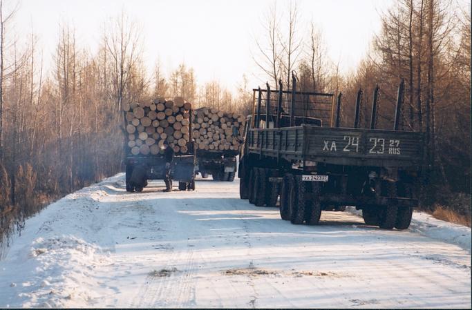 Logging Trucks waiting to cross bridge.