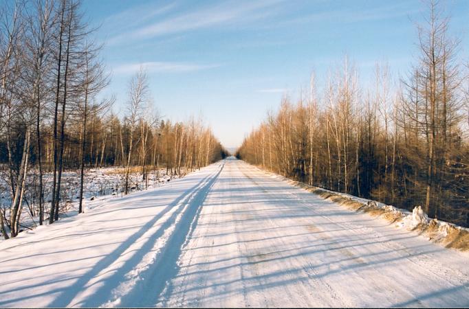 Long, straight, flat logging road heading towards confluence.