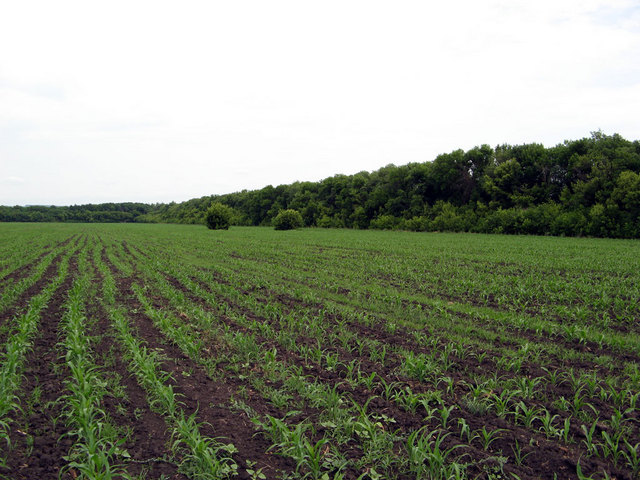 View to the North