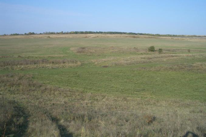 Вид на точку с Юга -- View of the point from the South