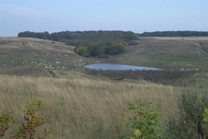 Окрестности недалеко от Пересечения. -- Vicinity of the Confluence.