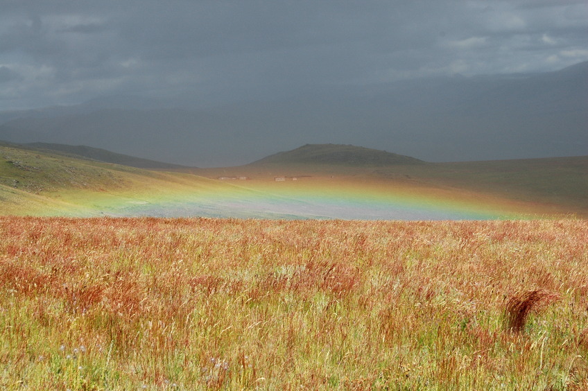 Rainbow / Под нами радуга