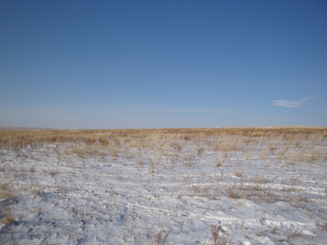 Вид на Север/North view