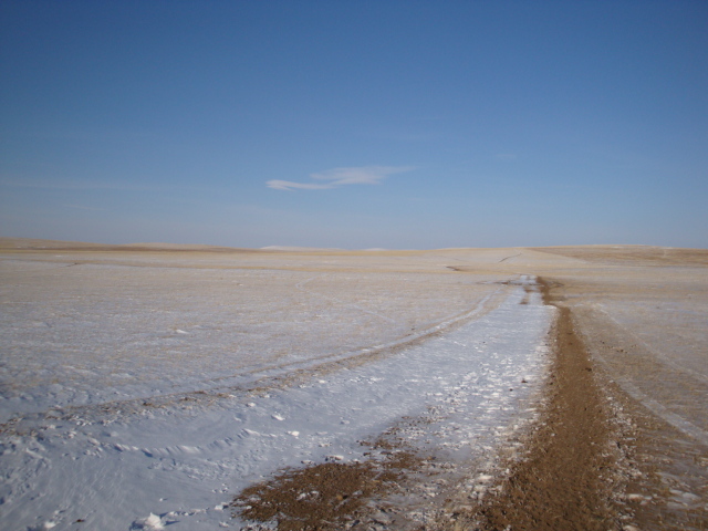 Полевая дорога/Field road