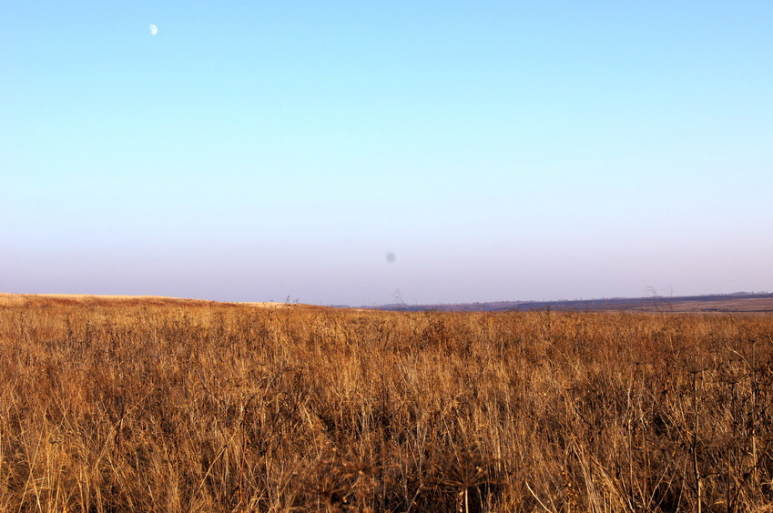 На Восток/Looking East