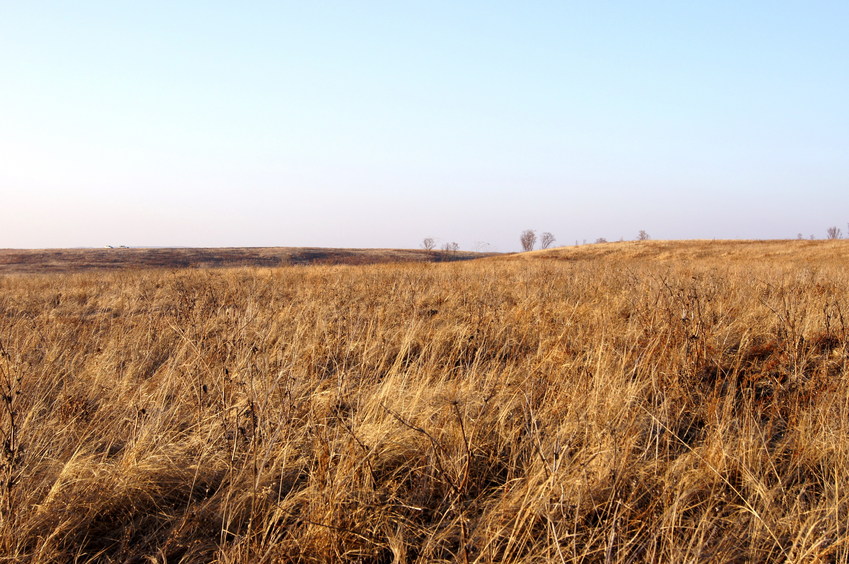 На Запад/Looking West