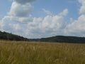 #2: Вид на запад, где в распадке ручей / West view towards the creek in the gully