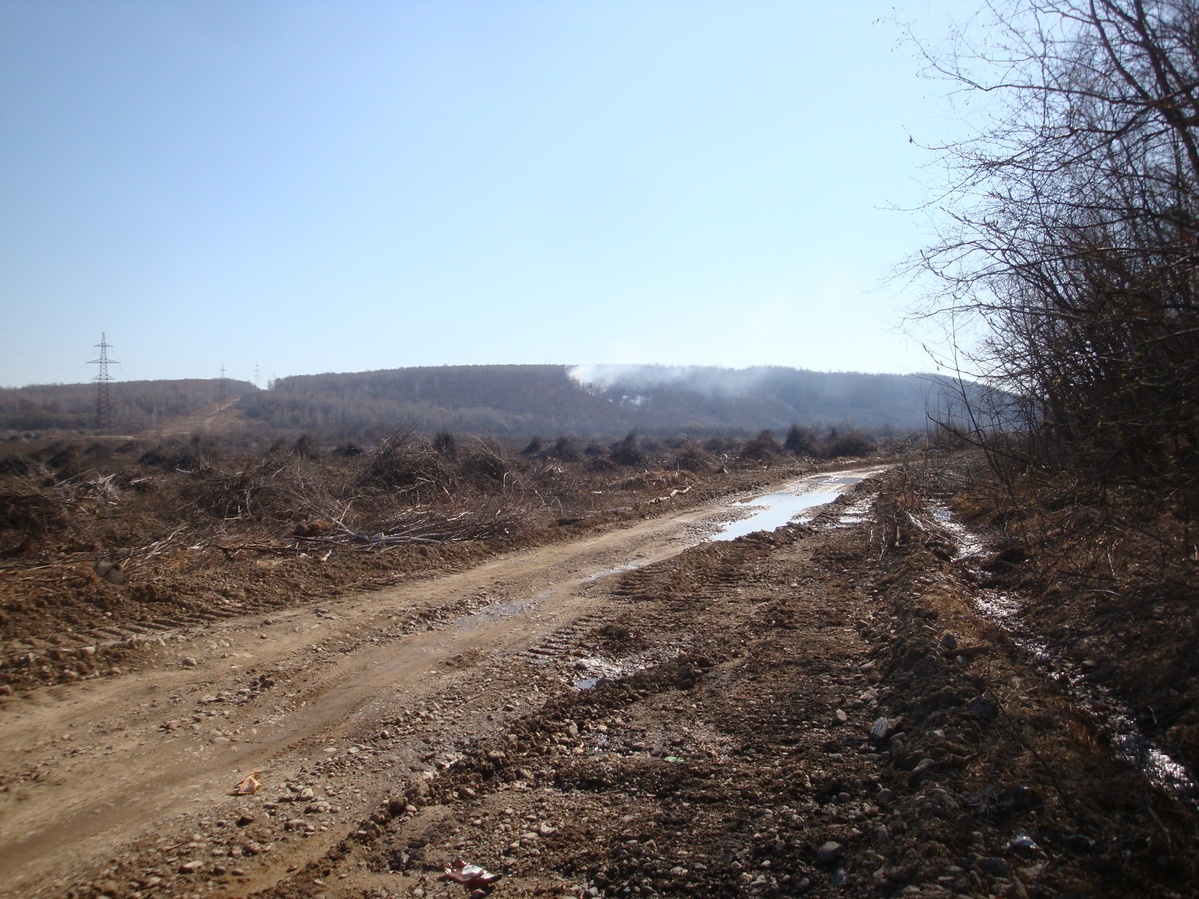 Вид в сторону пересечения / Towards confluence