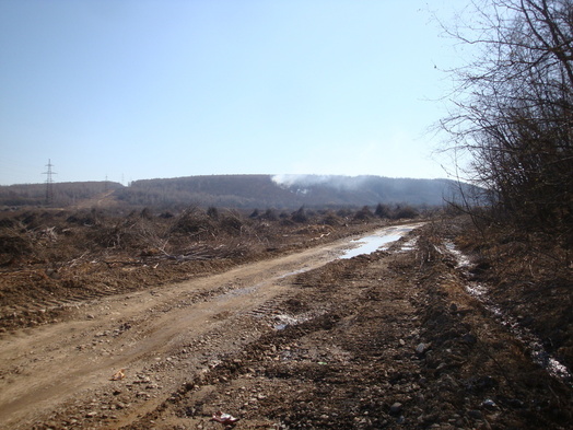 #1: Вид в сторону пересечения / Towards confluence