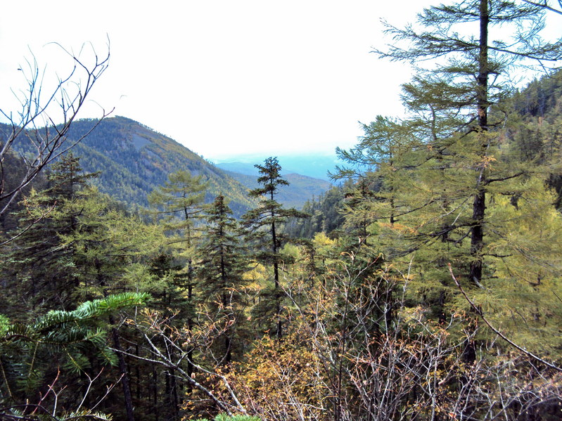 View to the confluence from 100 meters distance/Вид точки с расстояния 100 метров