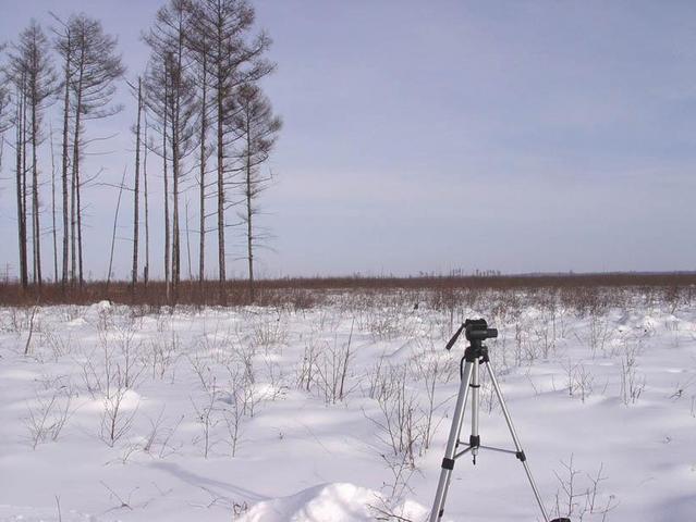 Точка пересечения -- Confluence point