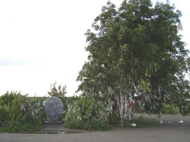 The Saint Birch near the spring / Святая береза у родника