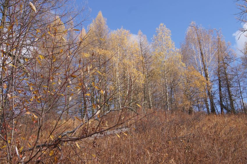 На восток / Facing East