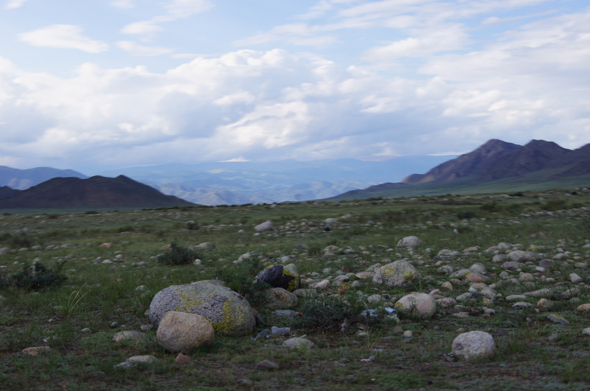 Сад камней/Stones garden