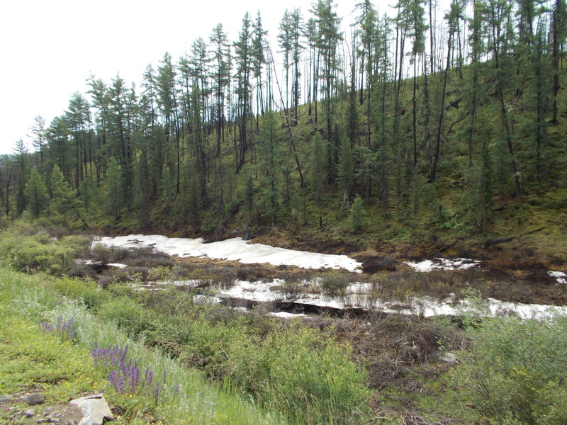 Июль, а снег не растаял!/Snow didn't thaw in July!