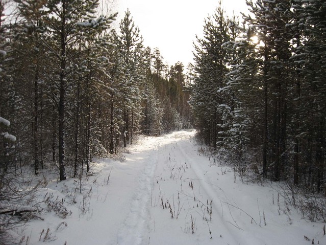 Дорога невидимка/The road, invisible from satellite