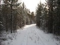 #9: Дорога невидимка/The road, invisible from satellite