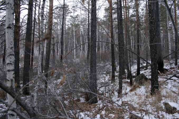 Вид на Запад / West view