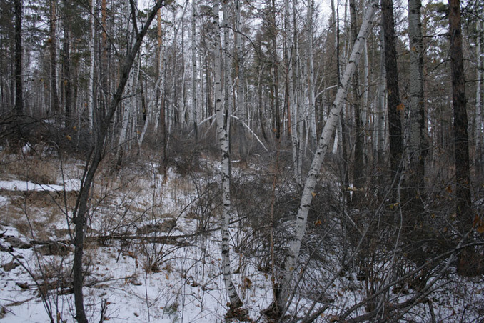 Вид на Север / North view