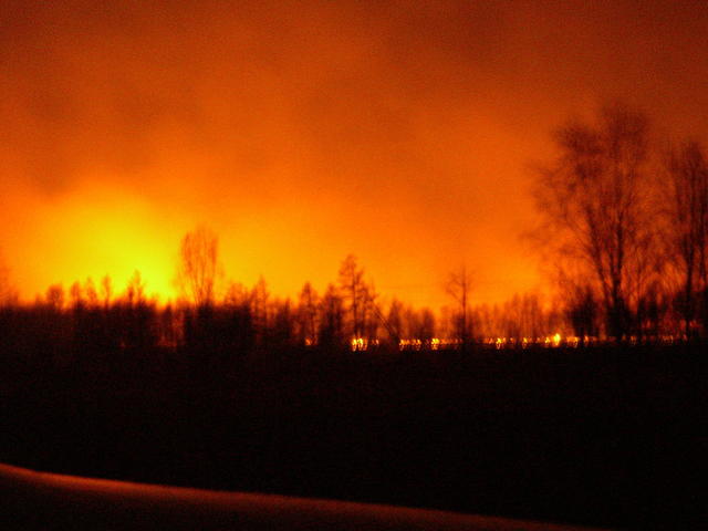 И ночью картина видна во всем своем ужасе. Природа гибнет/Night horror. The nature perishes