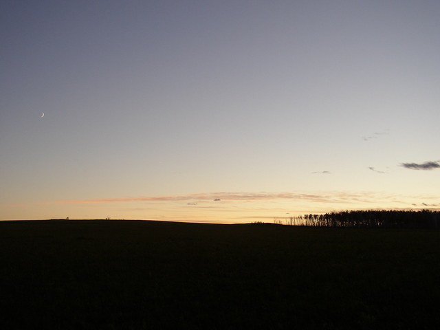 Запад. Там тоже степь. Чистое поле/West view. There is also steppe there