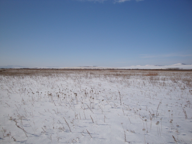 Вид на Запад/West view