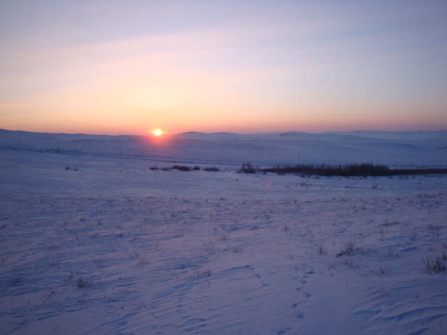 Морозное утро/Frosty morning