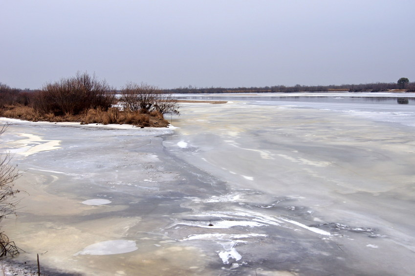 Река Томь/Tom' river