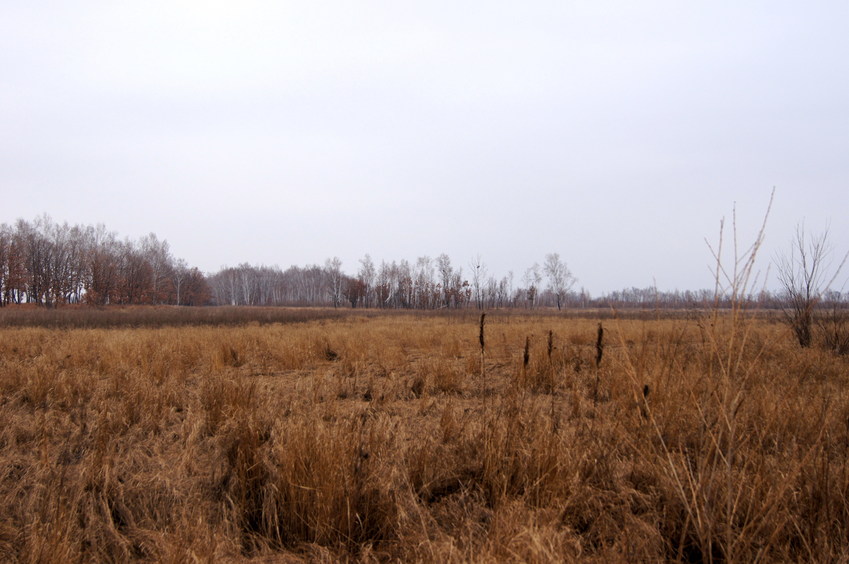 На Восток/Looking East