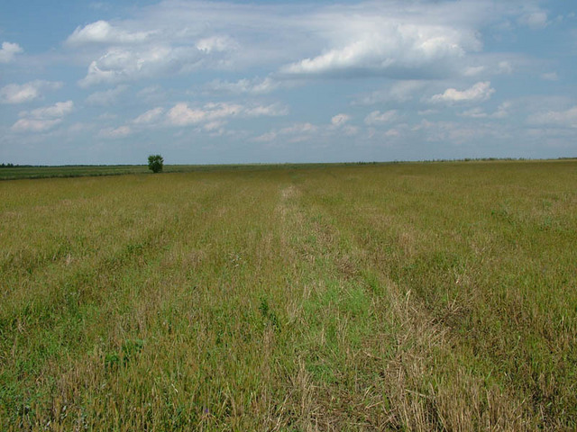 вид на север/North view