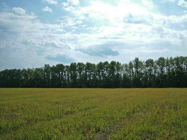 вид на юг/South view