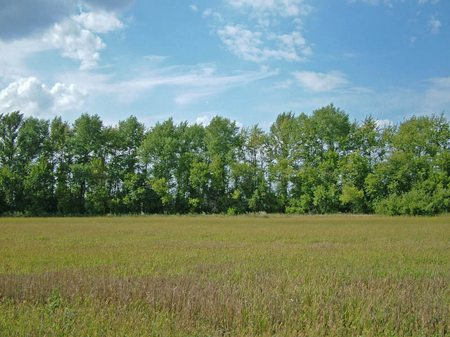 вид на запад/West view