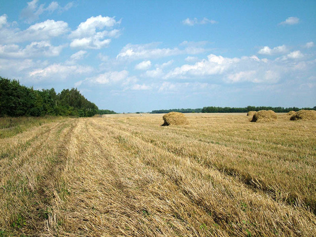 поле, русское поле.../Oh, Russian field