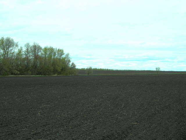 View to the North from CP