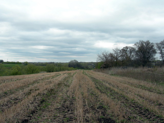 East view from CP