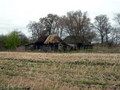 #8: Dvoryanka village. Tumbledown houses.