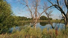 #9: Pond