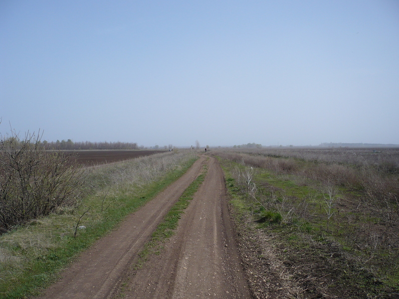 The road to the confluence