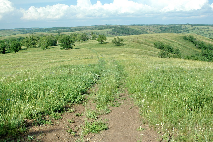 Около 4 км до точки на горизонте/About 4 km ahead till CP at the horizon