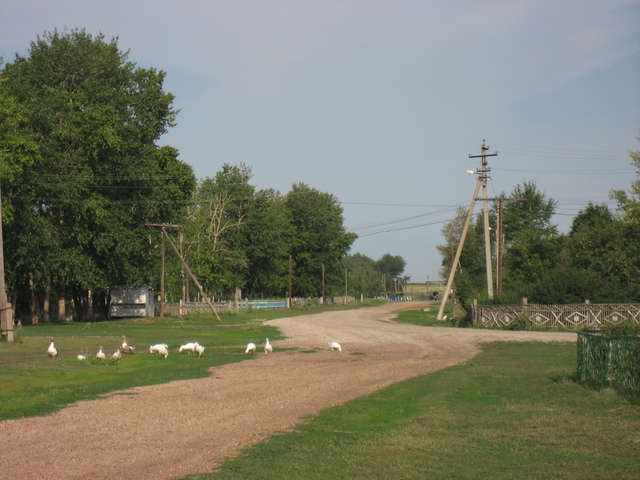 Yakovlevka settlement, 1.5 km from the point