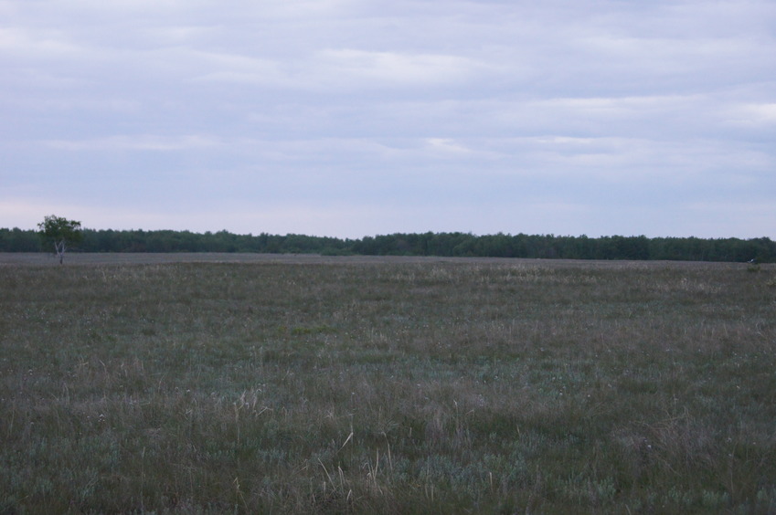 На восток / Facing East